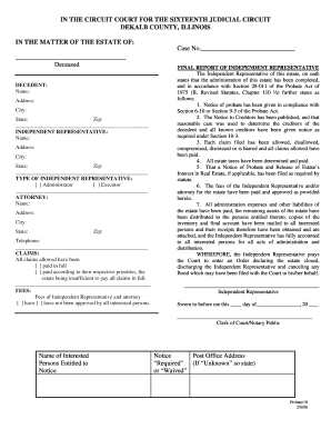 Final Report of Independent Representative