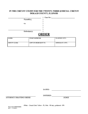 Court Order Template
