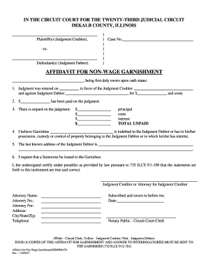 Affidavit for Non-Wage Garnishment