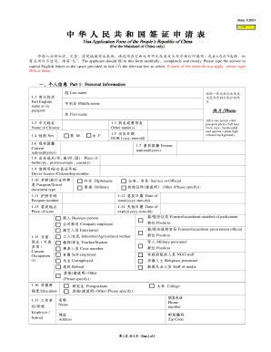China Visa Application Form
