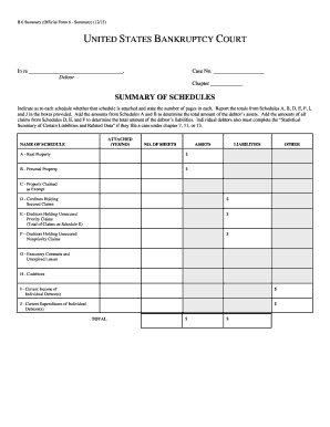 US Bankruptcy Court Form 6 Summary