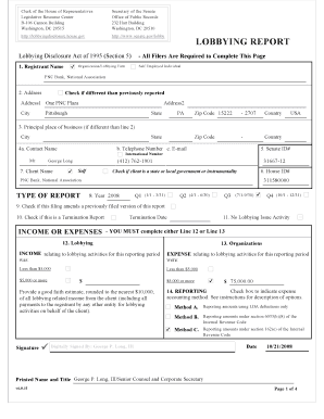 Lobbying Disclosure Report