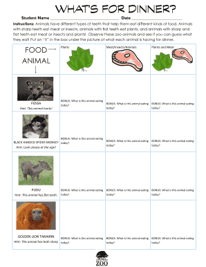 Animal Diet Worksheet