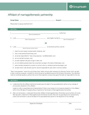 Affidavit of Marriage/Domestic Partnership