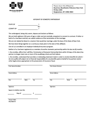 Affidavit of Domestic Partnership