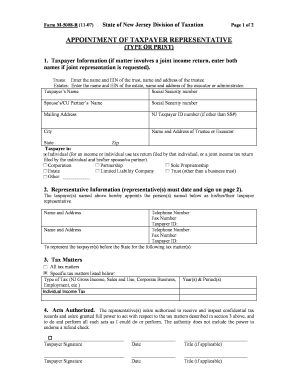 Appointment of Taxpayer Representative