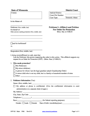 Minnesota Domestic Abuse Order for Protection Petition