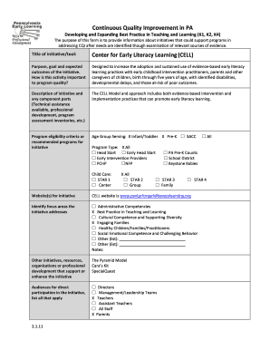 Continuous Quality Improvement Form for Early Literacy