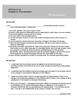 Affidavit of Domestic Partnership