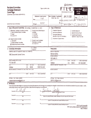 California Campaign Statement Form 460