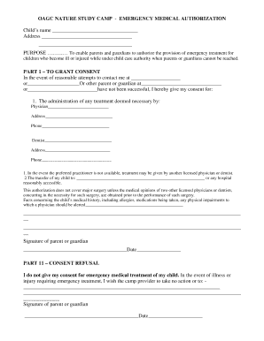 Emergency Medical Authorization Form