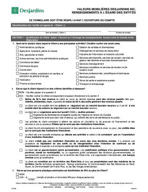 Formulaire de renseignements à l’égard des entités