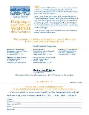 Community Energy Fund Donation Form