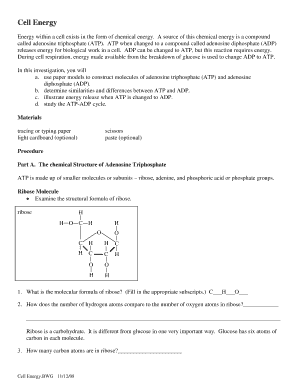 Cell Energy ATP ADP Lab