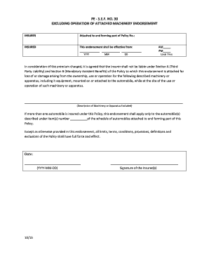 PE S.E.F. No. 30 Exclusion Endorsement