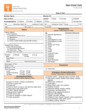Well Child Visit Form 12 Months