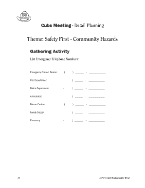 Cubs Meeting Safety First Planning Form
