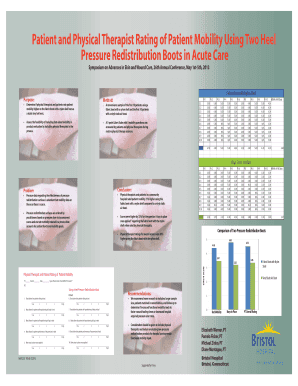 Patient and Physical Therapist Mobility Rating Form