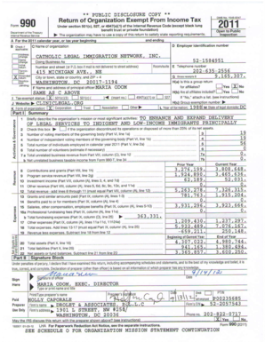 Form 990 2011