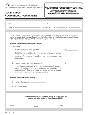 Commercial Automobile Audit Report