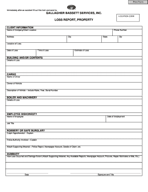 Property Loss Report Form