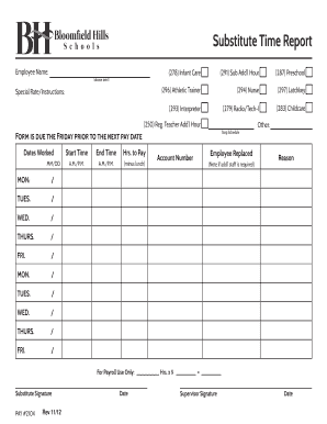 Substitute Time Report