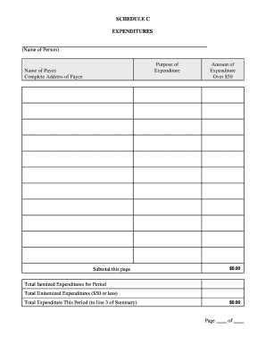 Schedule C Expenditures Form