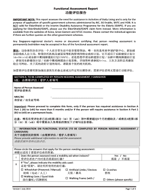 Functional Assessment Report