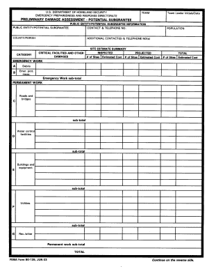 Preliminary Damage Assessment Form