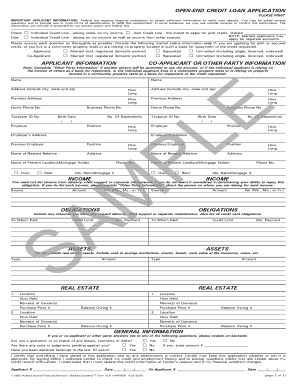 Open-End Credit Loan Application