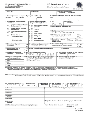 Employer's First Report of Injury or Illness
