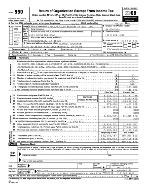 Form 990 Tax Exempt Organization Return