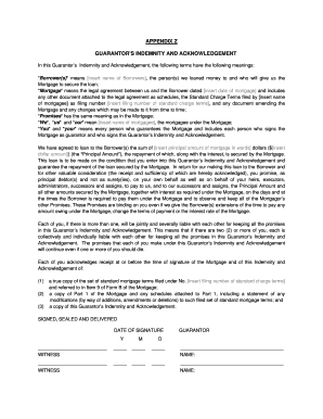 Guarantor's Indemnity and Acknowledgement