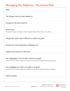 Diabetes Action Plan