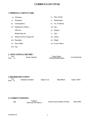 Curriculum Vitae Template