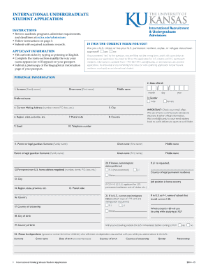 International Undergraduate Student Application