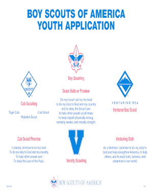 Boy Scouts of America Youth Application