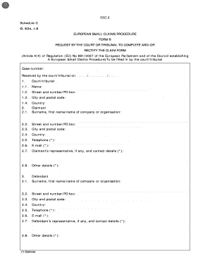 European Small Claims Procedure Form B