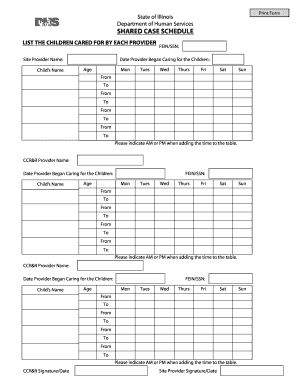 Illinois Child Care Provider Schedule