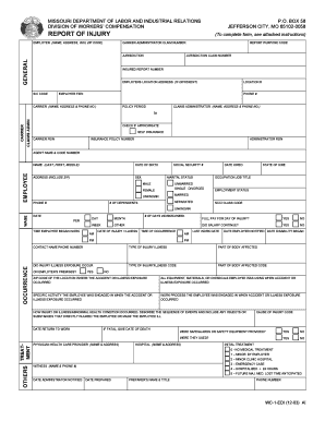 Missouri Workers' Compensation Injury Report