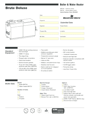 Boiler Water Heater Boiler MIGHTY THERM Brute Deluxe2