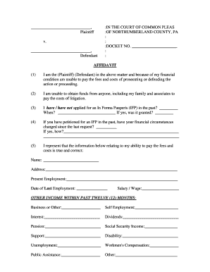 In Forma Pauperis Affidavit