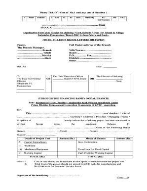 Government Subsidy Application Form