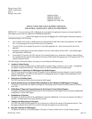 Ohio Child Support Services Application