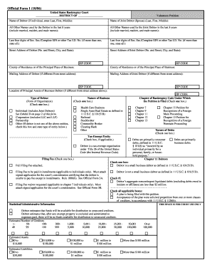 US Bankruptcy Court Voluntary Petition