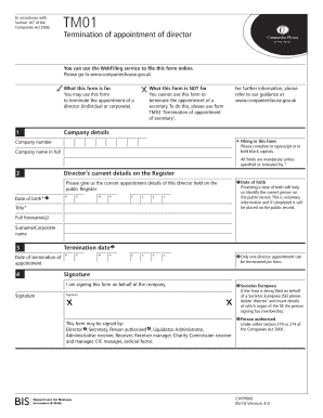 Termination of Appointment of Director Form TM01