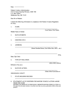FAA Pilot Violation Report Form