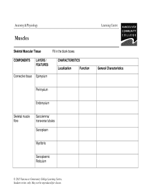 Anatomy Physiology Muscle Study Guide