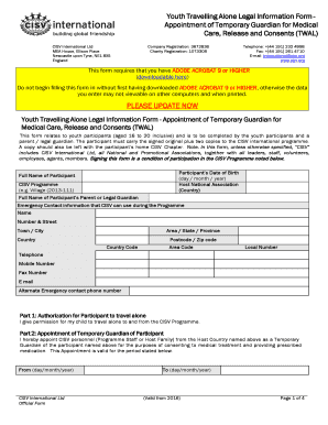 Youth Travelling Alone Legal Information Form