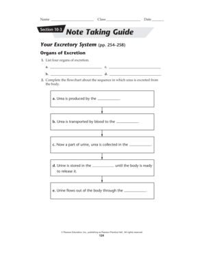 Ca letter head format in word - Name Section 103 Class Date Note Taking Guide Your Excretory System (pp - blogs rsd13ct